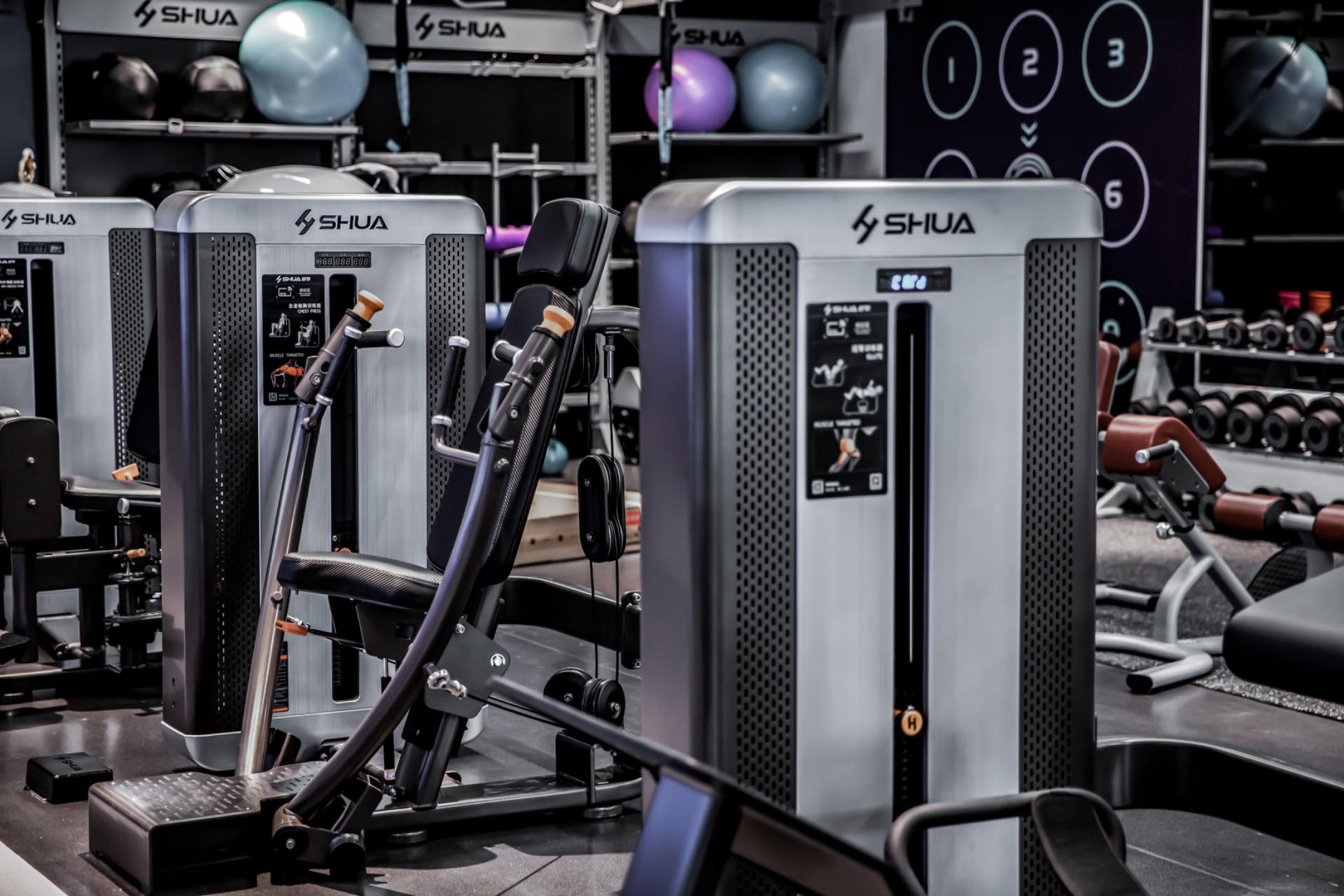 Import Gym Equipment from China: Finding Reliable Suppliers