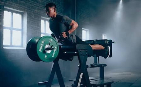 How to Choose Commercial Glute Training Equipment for Your Gym